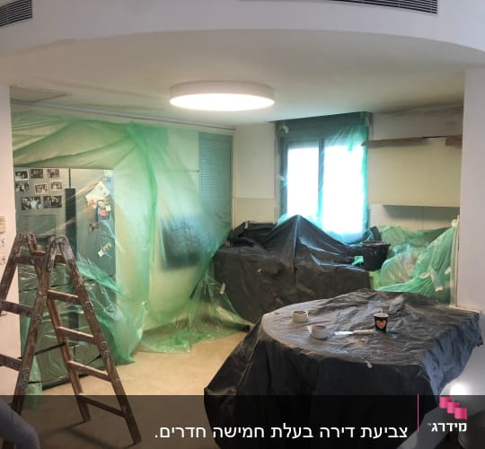סולם עץ, יריעות פלסטיק לכיסוי, כלים לצביעה
